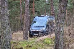 Olga allein im Wald