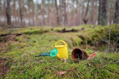 Fundstücke im Wald