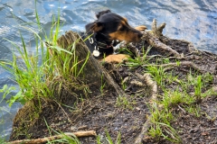 reinkommen ist einfacher