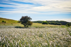 Wanderung im Biesenthaler Becken