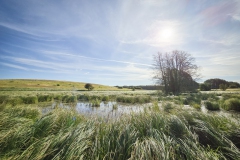 Wanderung im Biesenthaler Becken