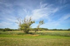 Wanderung im Biesenthaler Becken