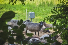 Wanderung im Biesenthaler Becken