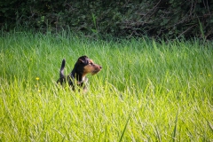 Wanderung im Biesenthaler Becken