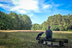 Wanderung im Biesenthaler Becken726