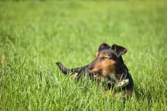 Wanderung im Biesenthaler Becken