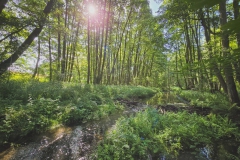 Wanderung im Biesenthaler Becken