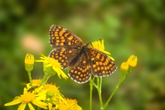 Wanderung von Melchow