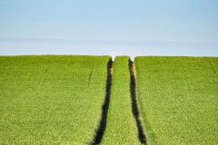 Spuren