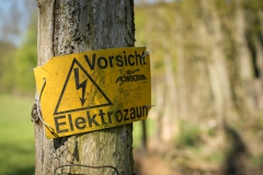 Elektrozaun