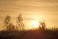 Sonnenaufgang