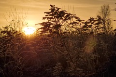 Sonnenaufgang