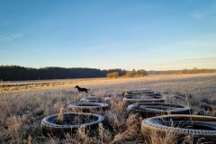 Alte Reifen auf dem Feld