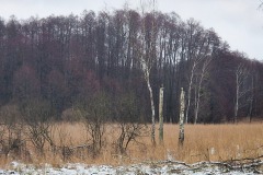 Naturpark Märkische Schweiz