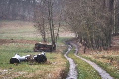 Naturpark Märkische Schweiz