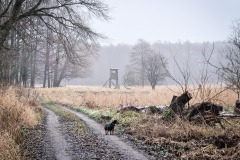 Naturpark Märkische Schweiz