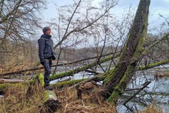 Am Großen Tornowsee