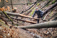 In der Wolfsschlucht
