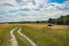 Weites Brandenburg