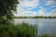 Einer der vielen Brandenburger Seen