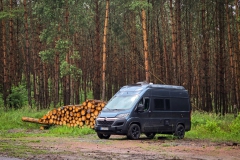 Stellplatz im Wald