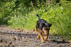 Fritzi widerwillig ...