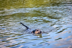 Fritzi sagt baden!