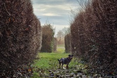Wanderung mit Fritzi