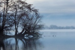Havel am Morgen