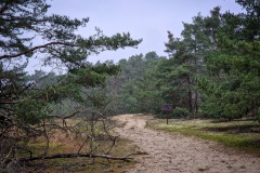 Landschaft am Götzer Berg