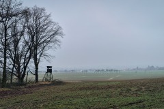 Ausblick auf das vernebelte Götz
