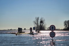 Überflutete Oderauen auf polnischer Seite