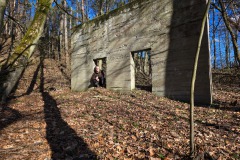 Betonwand im Wald