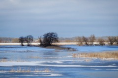 Überflutete Flächen an der Oder