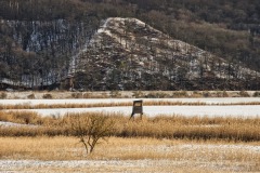 Die Oder-Niederung im Morgenlicht