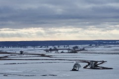 Blick auf die Oder-Niederung