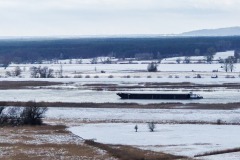 Frachtschiff auf der winterlichen Oder stromaufwärts