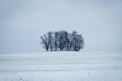 Verschneite Felder