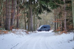 Parkplatz am Waldrand