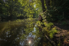 Dschungel am Rande der Schorfheide