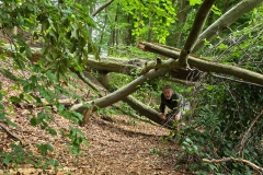 Wanderung um den Großen Buckowsee