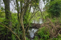 Wanderung um den Großen Buckowsee