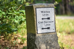 Mitten in der Schorfheide