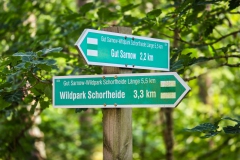 Wegweiser in der weitläufigen Schorfheide