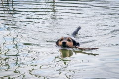 Erfischung  und Spiel im Kleinen Glasowsee