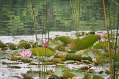Kleiner Glasowsee