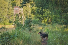 Wanderung entlang des Kanals
