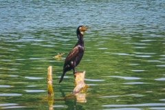 Liepnitzsee bei Wandlitz